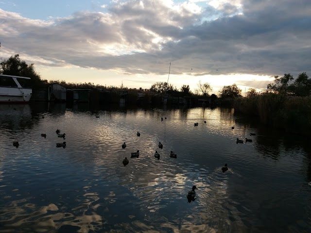 Lago di Massaciuccoli